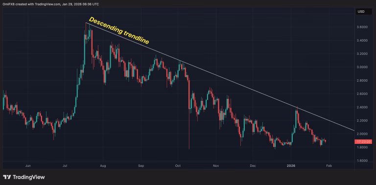 Aumenta el número de billeteras con 1 millón de XRP