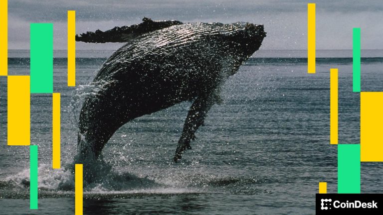 Memecoin 'Ballena Blanca' cae 60% tras venta de $1.3 millones por su principal holder