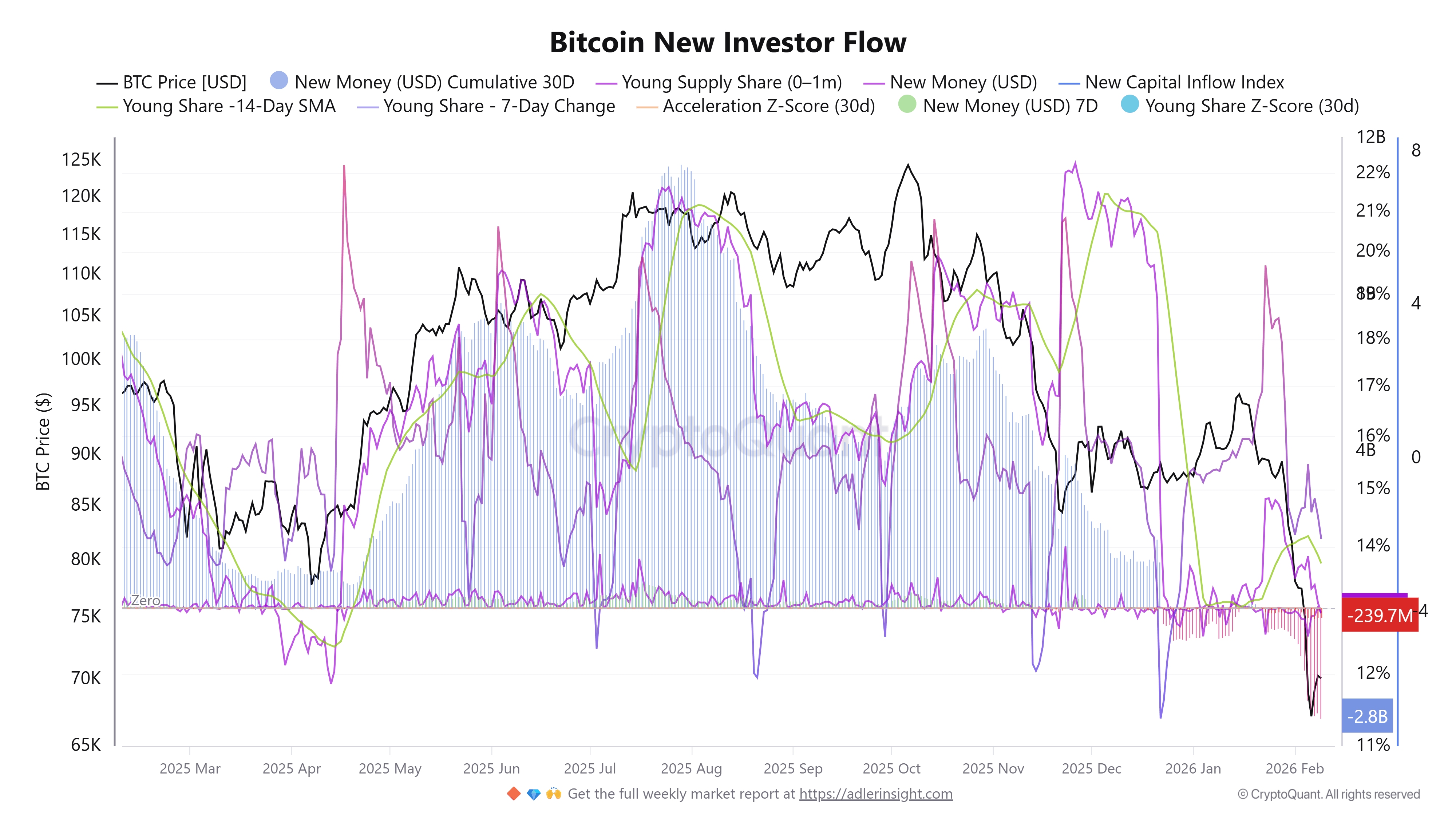 Flujo de nuevos inversores de Bitcoin