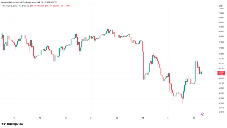 Bitcoin Alcanzó los $66k: Divergencia en el Mercado Señala Rally en BTC