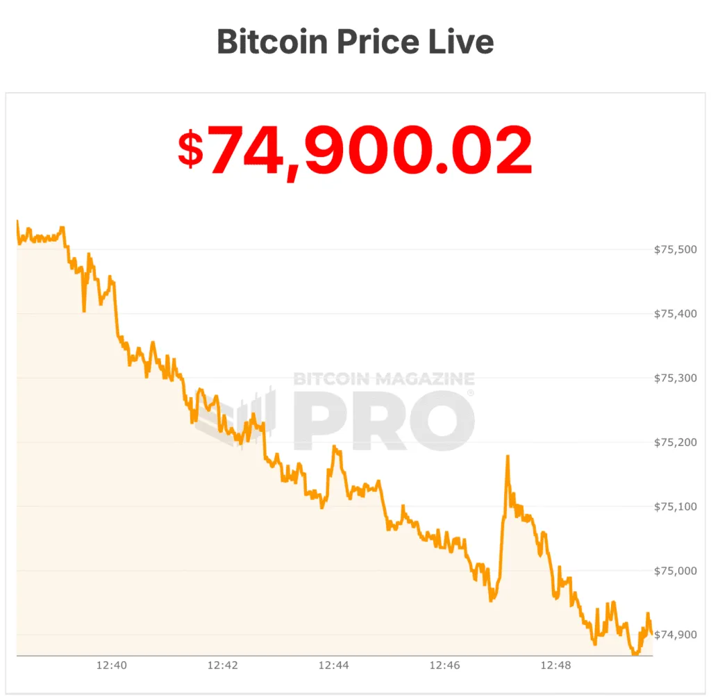 Bitcoin se desploma a $74,000, ¡mínimos en un año!
