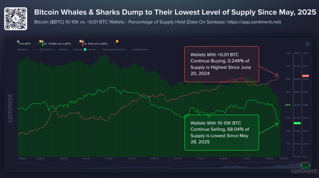 Los grandes tenedores de Bitcoin alcanzan mínimo en 9 meses
