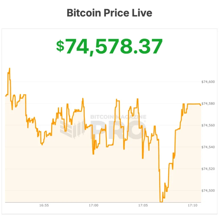 Dentro del Precio de Bitcoin en San Patricio