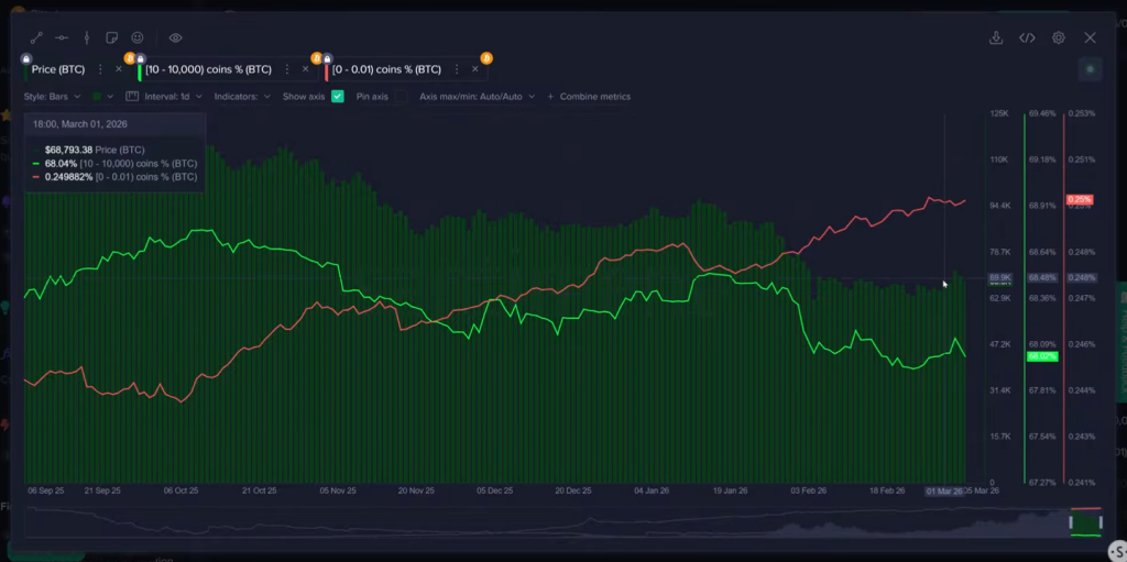 La Caída de Bitcoin Podría No Haber Terminado: Aumenta la Compra Minorista, Según Santiment
