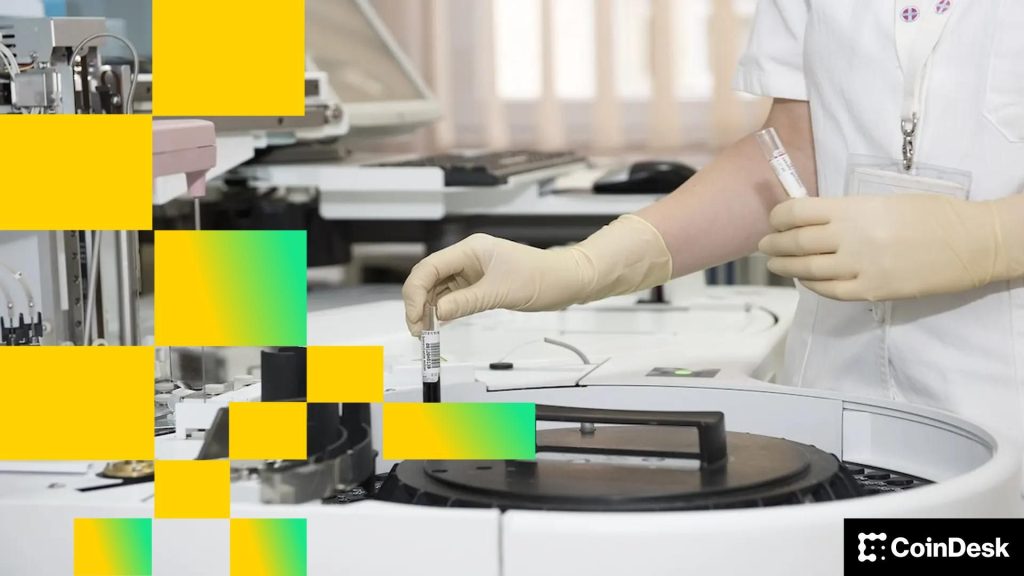 La firma Multicoin apuesta a que los 'Mercados Laborales Digitales' impulsarán la próxima ola de adopción cripto.