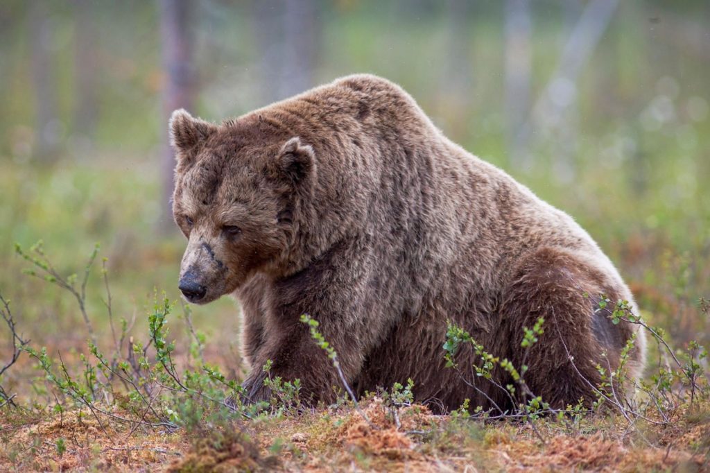 Las criptoempresas despiden a cientos para apostar todo por la IA