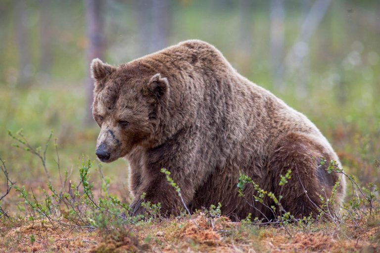 Las criptoempresas despiden a cientos para apostar todo por la IA