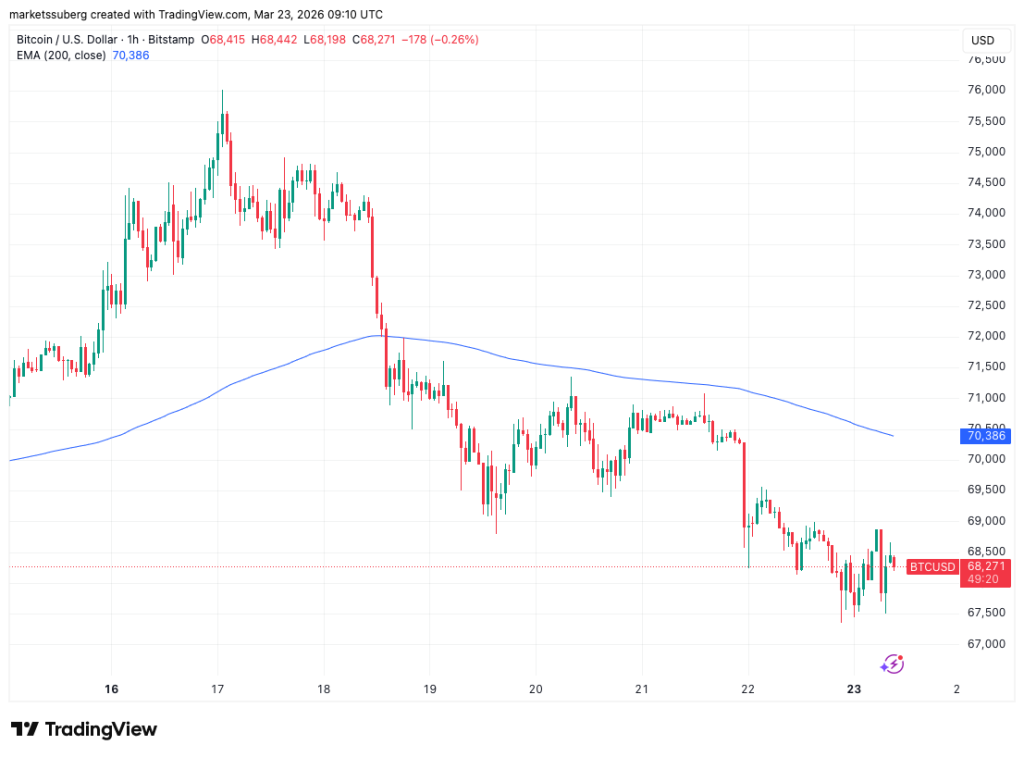 Traders de Bitcoin Prevén Nuevos Mínimos ante el Mercado Bajista del Oro