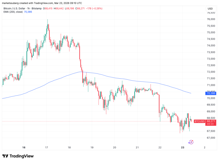 Traders de Bitcoin Prevén Nuevos Mínimos ante el Mercado Bajista del Oro