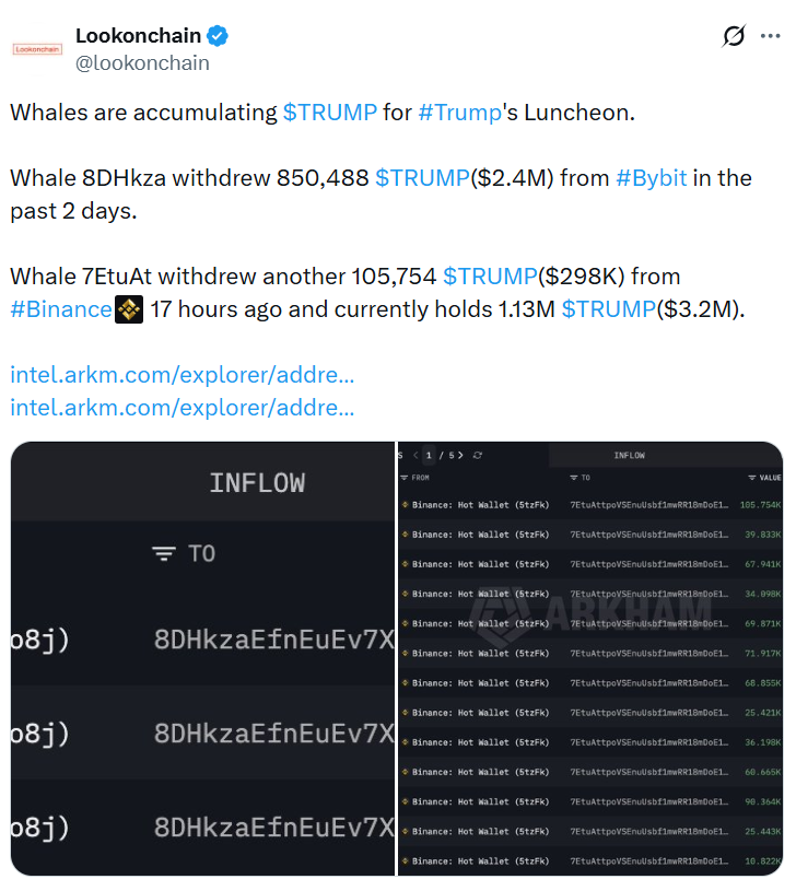 Ballenas de TRUMP Token Acumulan Antes del Almuerzo