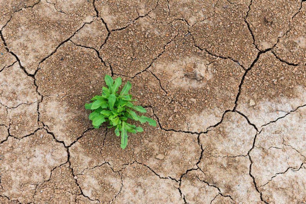 El sacudón de DeFi: una prueba de estrés, no una sentencia de muerte